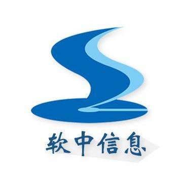 乐嘉锦与上海信息技术 推动城市数字化转型的先锋力量